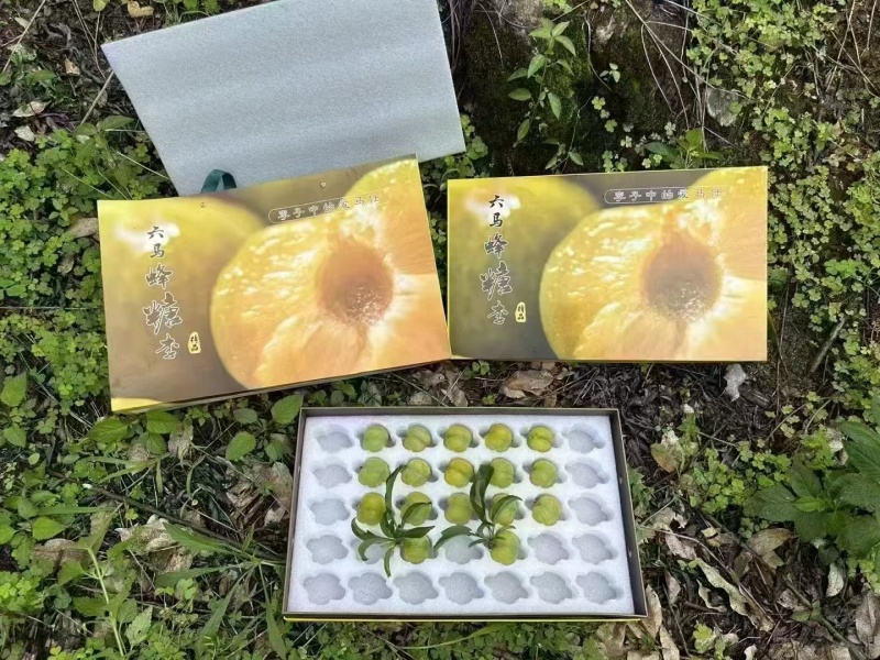 李中贵族贵州镇宁蜂糖李纯甜无酸蜂蜜香气当季