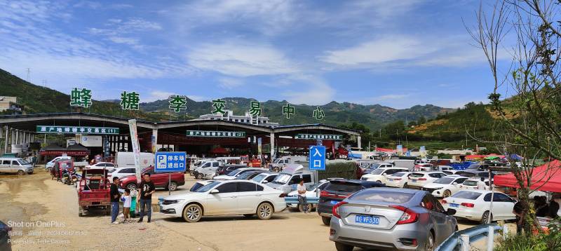 李中贵族贵州镇宁蜂糖李纯甜无酸蜂蜜香气当季