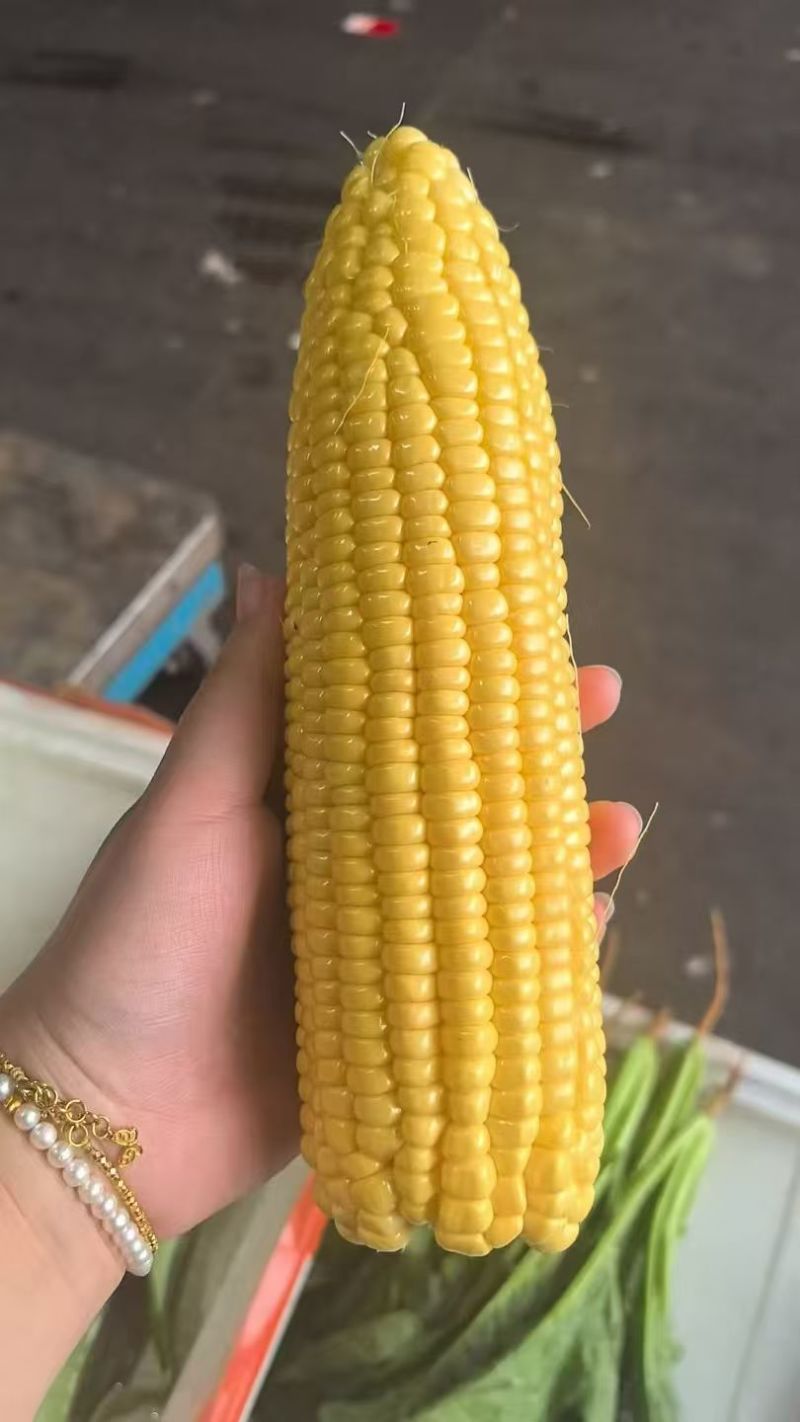 水果玉米花超玉米白糯玉米，甜玉米，产地一手货源，对接全国