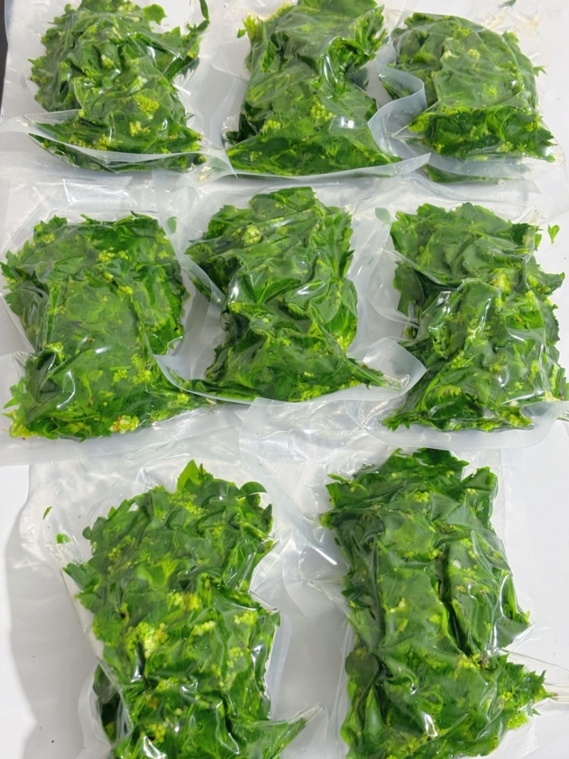 大别山珍珠花菜