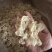 东北白玉木耳批发肉厚无根优质品质量大从优