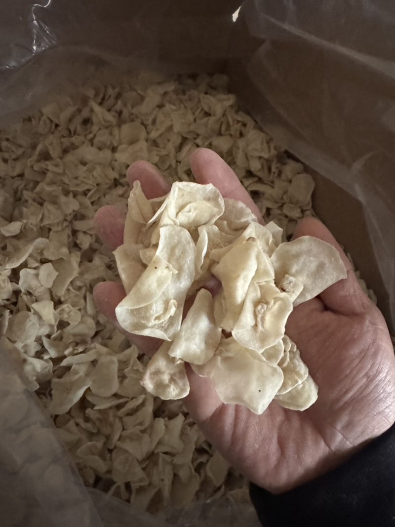 东北白玉木耳批发肉厚无根优质品质量大从优