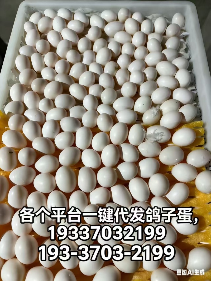 老板们我们是鸽子蛋养殖厂家，每个平台一件代发鸽子蛋，有需