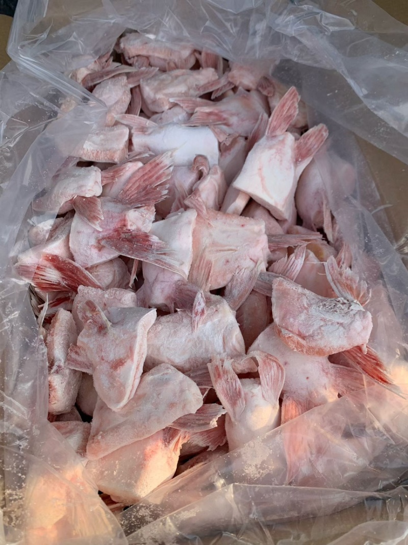巴沙鱼鳍单冻板冻现货