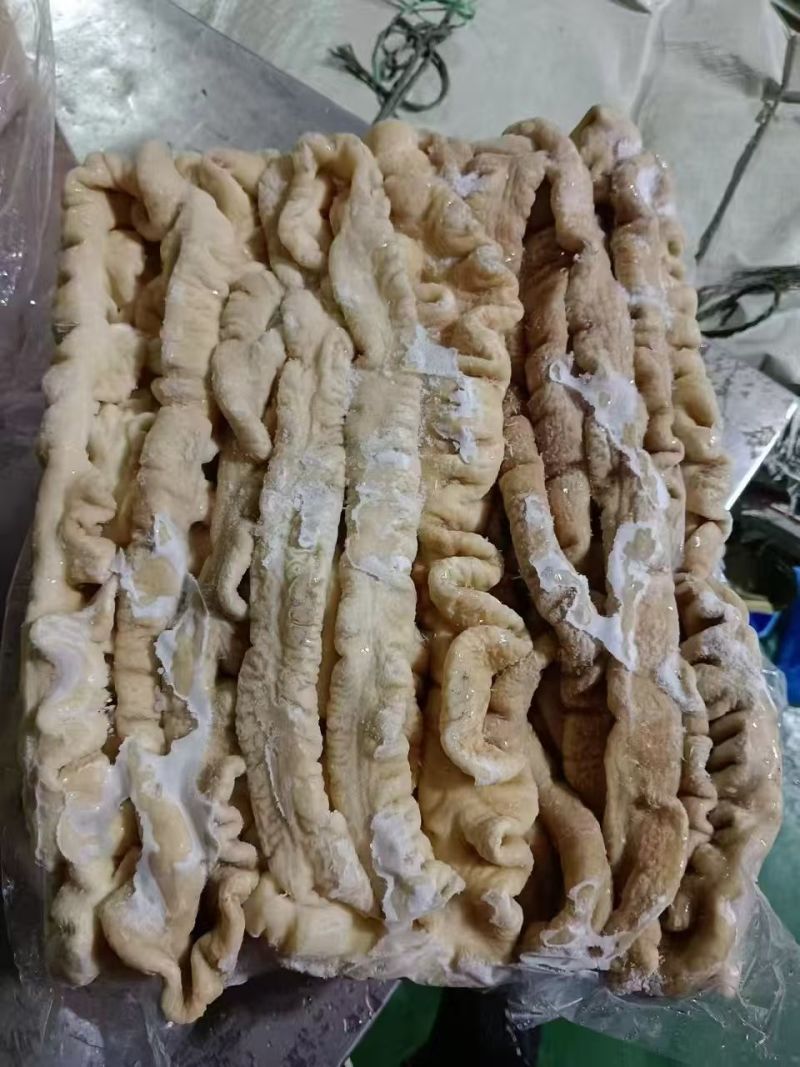 预煮大肠