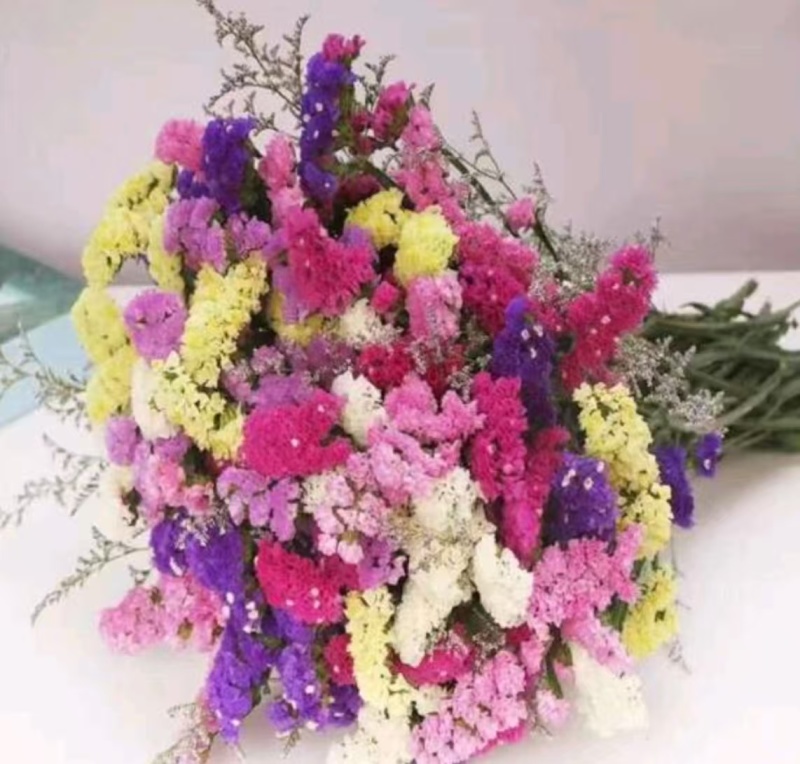 云南勿忘我鲜花干花颜色鲜艳地摊赶集
