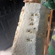 蜂蜜量大从优