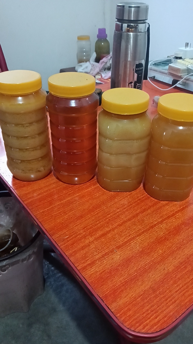 湖北郧西景阳王小邦正宗土蜂蜜