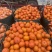 【工厂果】产地直供专业团队每日供货量3-5挂对接饮料工厂
