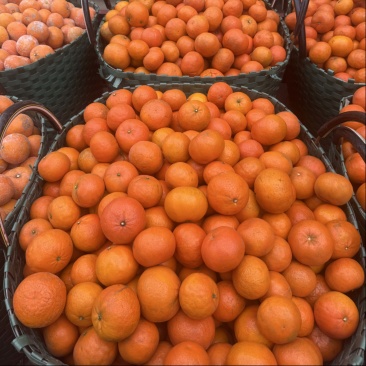 【工厂果】产地直供专业团队每日供货量3-5挂对接饮料工厂