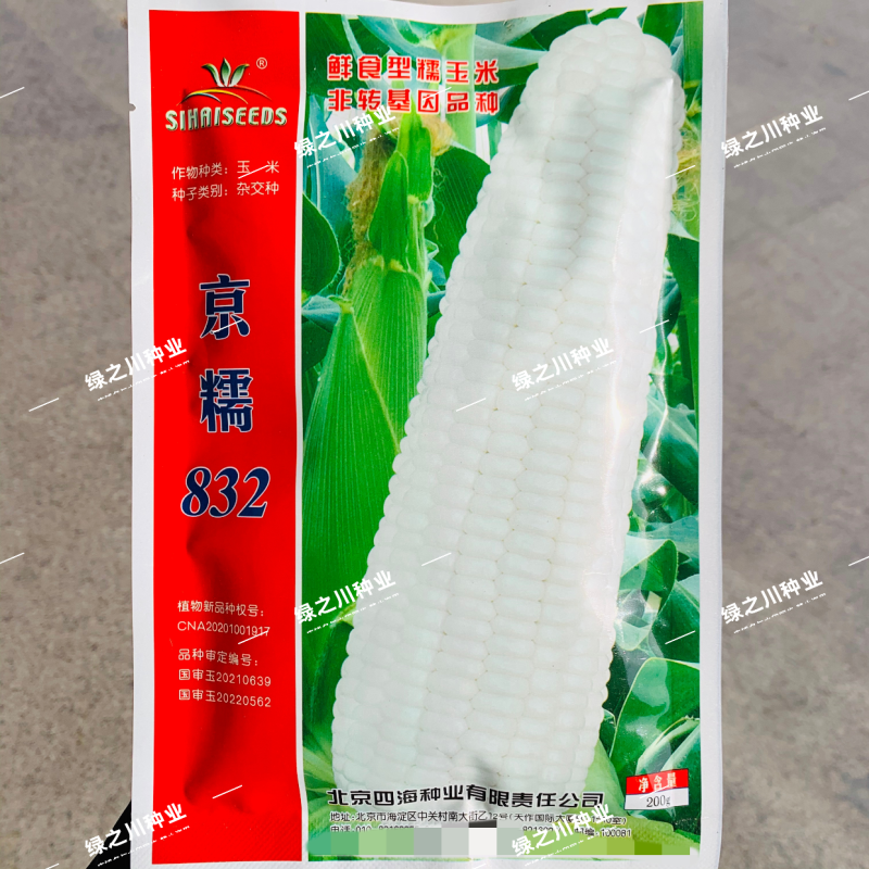 京糯832玉米种子国审玉鲜食糯玉米种子白粘玉米原装苞米种