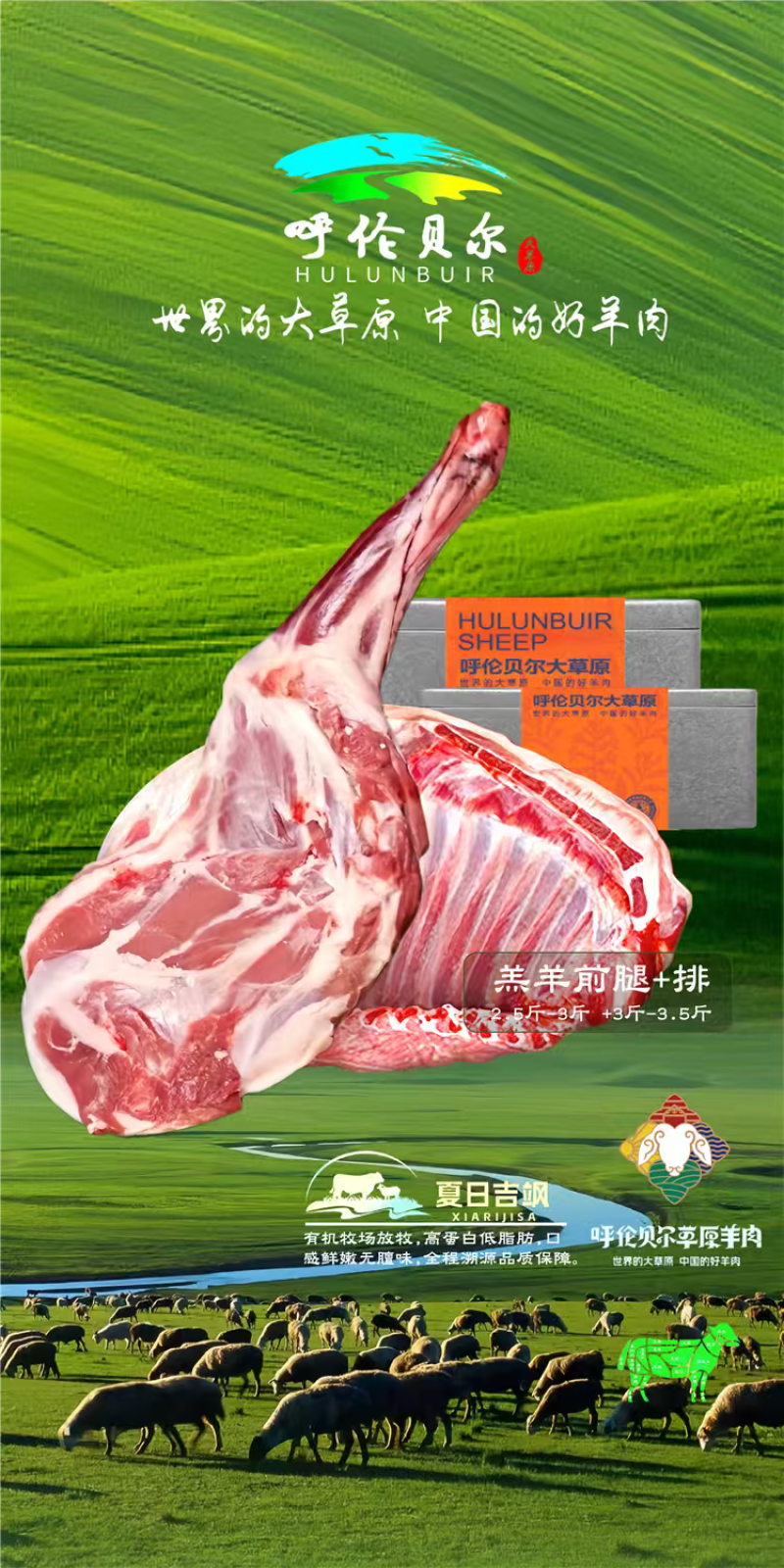 羊后腱块4-6月羔羊呼伦贝尔全草溯源牛羊肉