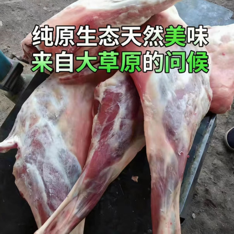 鄂尔多斯产地直销，整只羊白条羊，新鲜草原放养羊肉质鲜