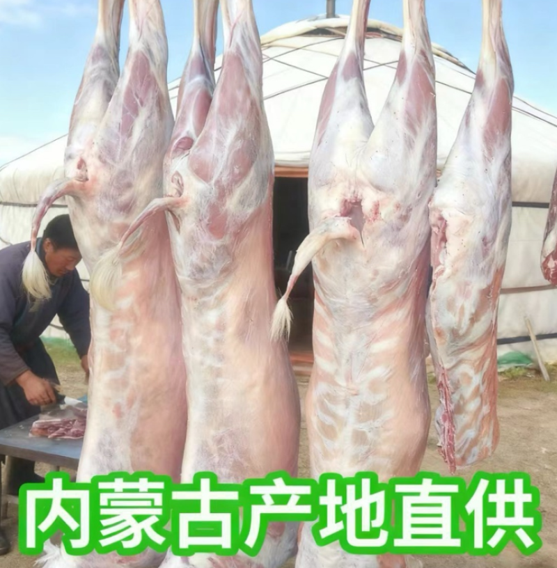 鄂尔多斯产地直销，整只羊白条羊，新鲜草原放养羊肉质鲜