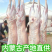 低价批发专卖鄂尔巴斯山羊肉，现宰现发，保质保量可视频