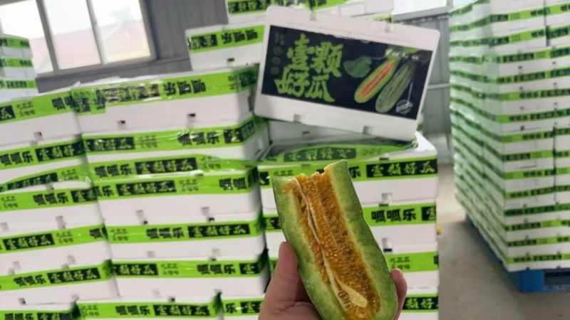 山东羊角蜜，蜜源18甜瓜一件代发多多美团团购商超精品货