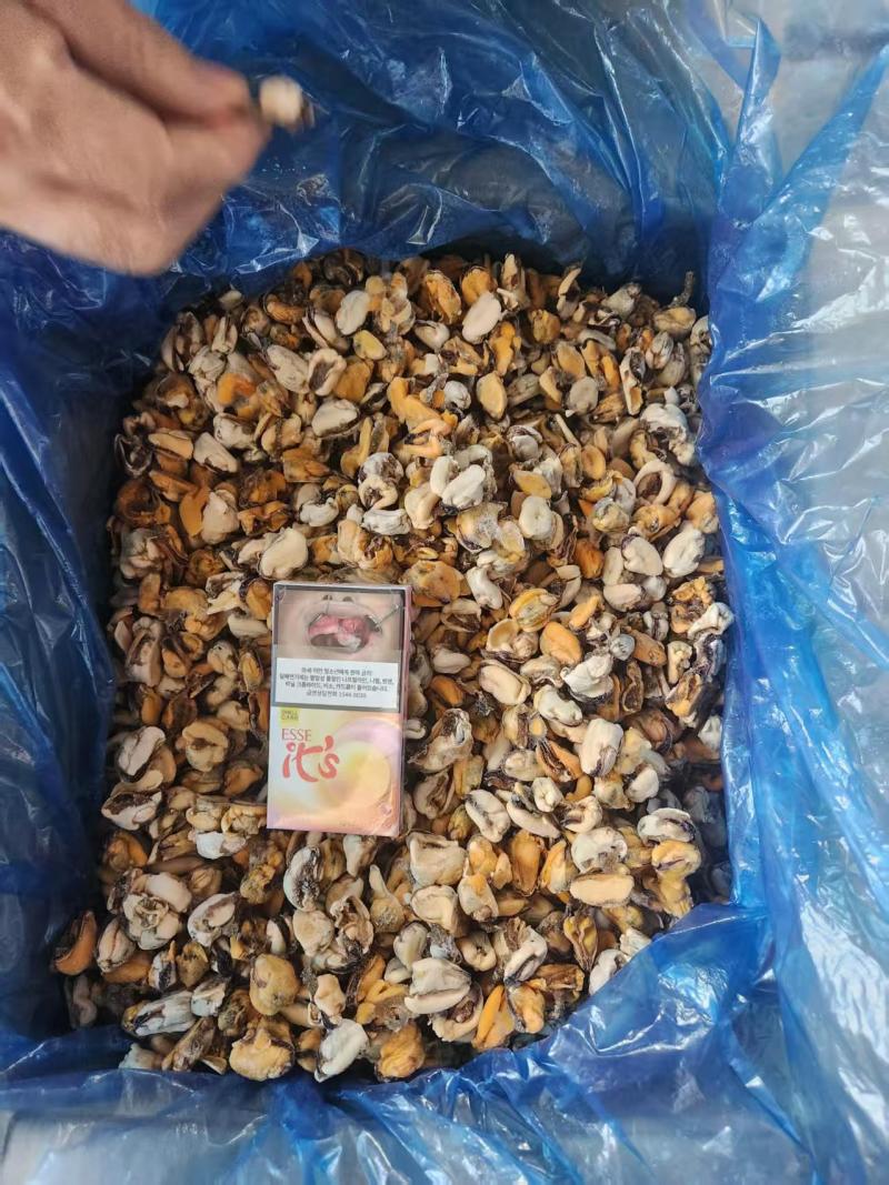 海虹粿粒肉新货上市了，货源充足，一手货源支持出口。
