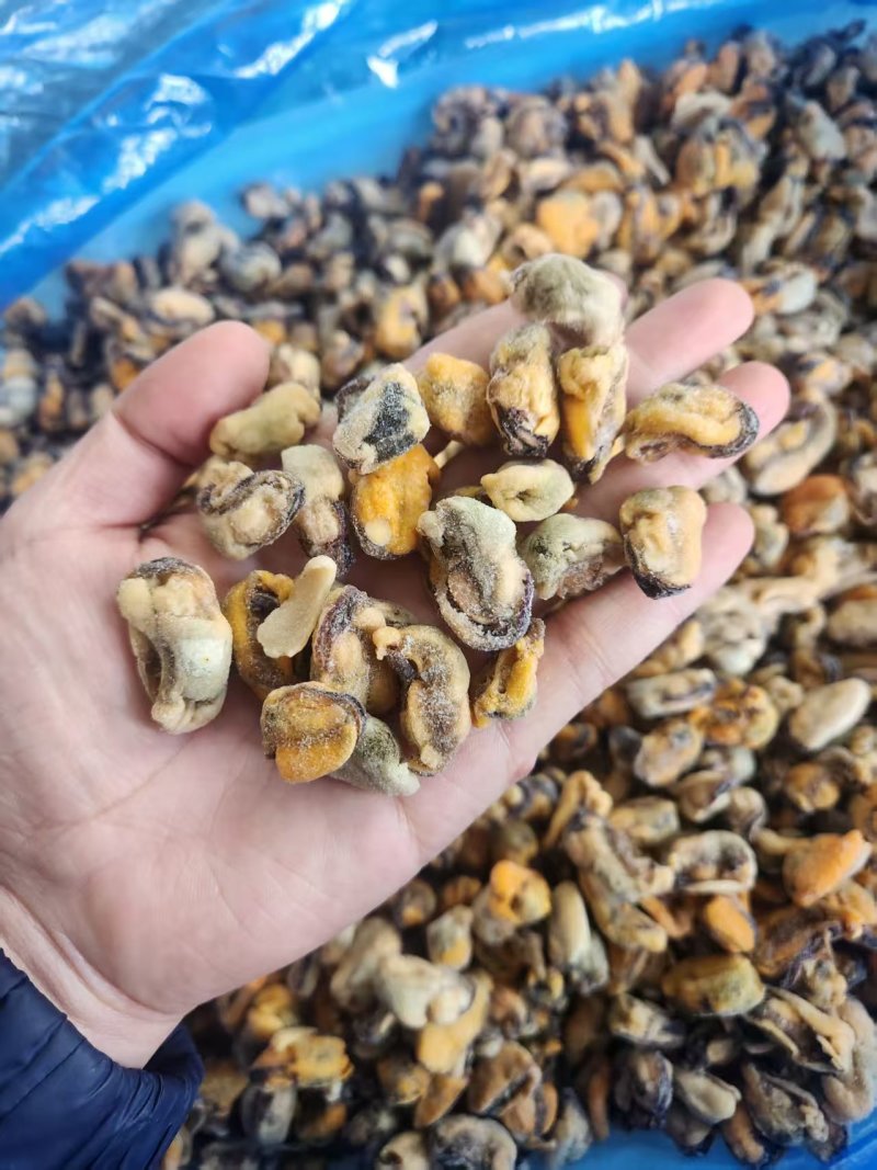 海虹粿粒肉新货上市了，货源充足，一手货源支持出口。