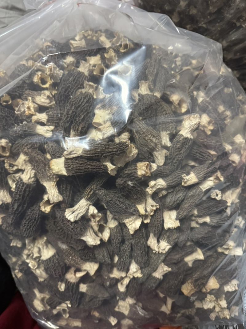 羊肚菌，自家大棚种植