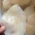水产，各种海蜇