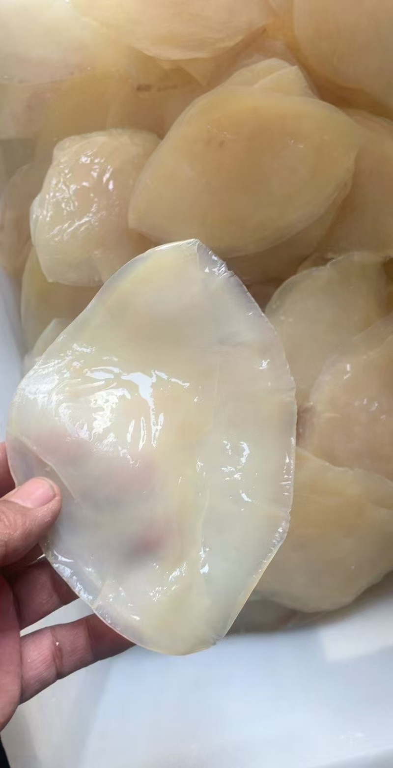 水产，各种海蜇