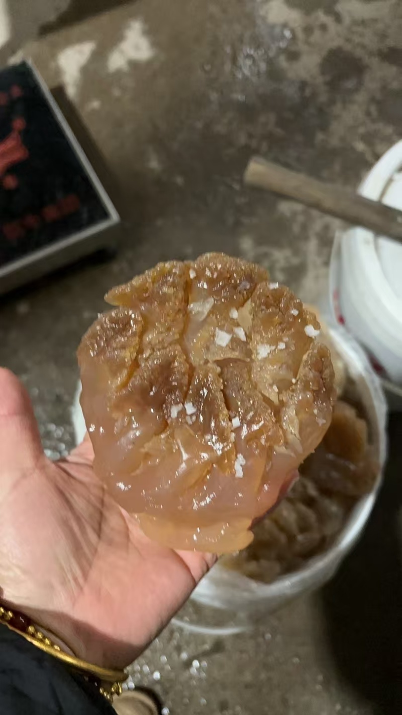 水产，各种海蜇