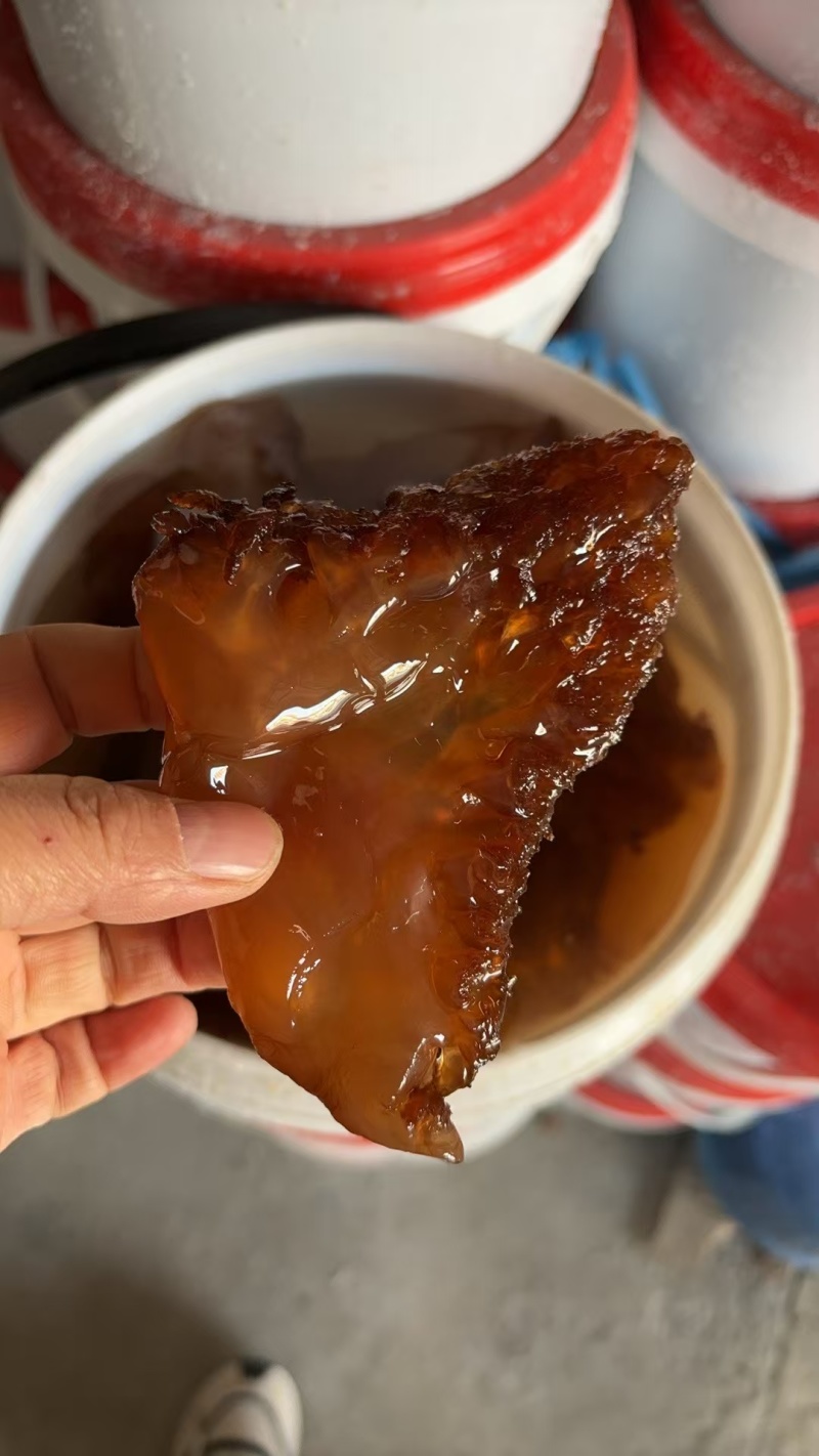 水产，各种海蜇