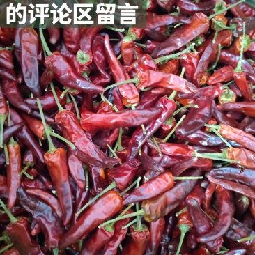 福建辣椒王体验包