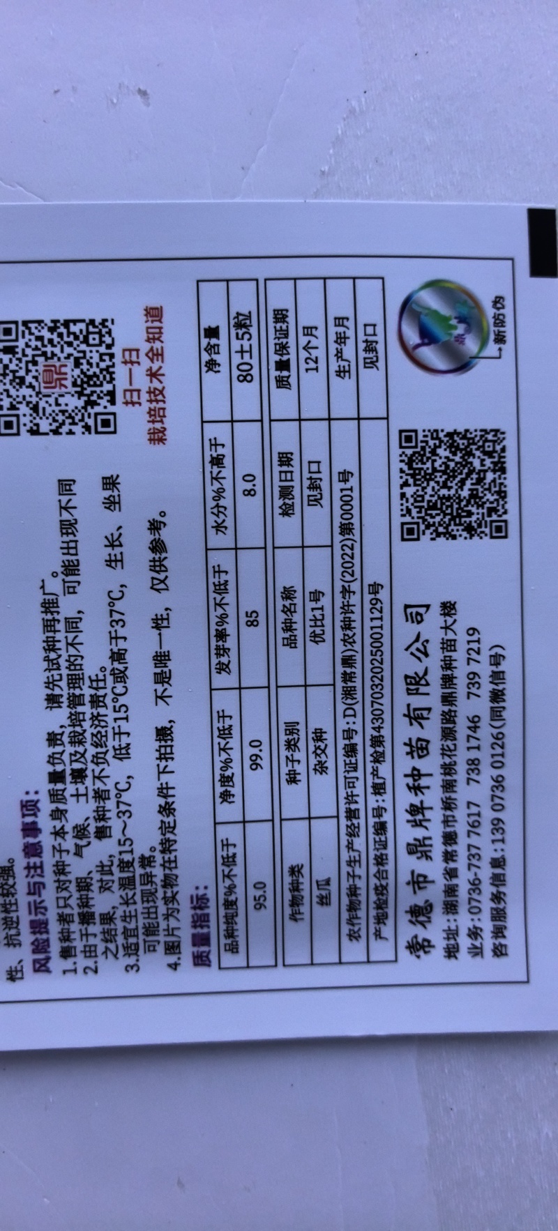 丝瓜种子优比1号成瓜率高连续采摘时间长瓜条顺直翠绿色