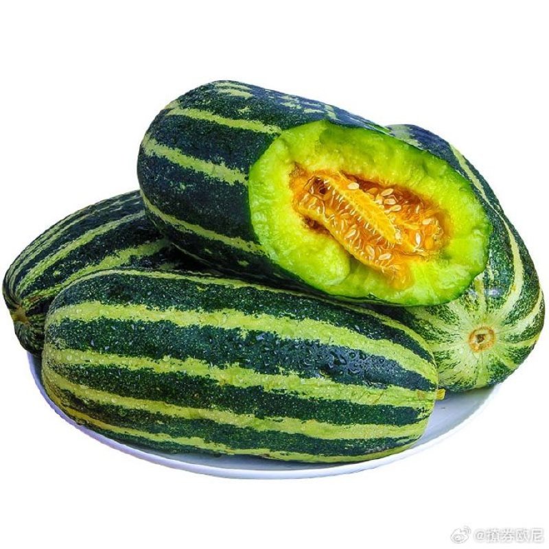 大量供应博洋九甜瓜