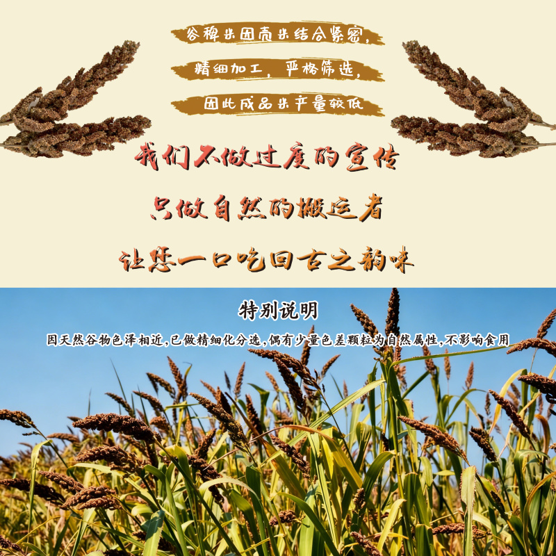 东北特产谷稗米稗子米稗米，特色粗粮杂粮米黑土地种植