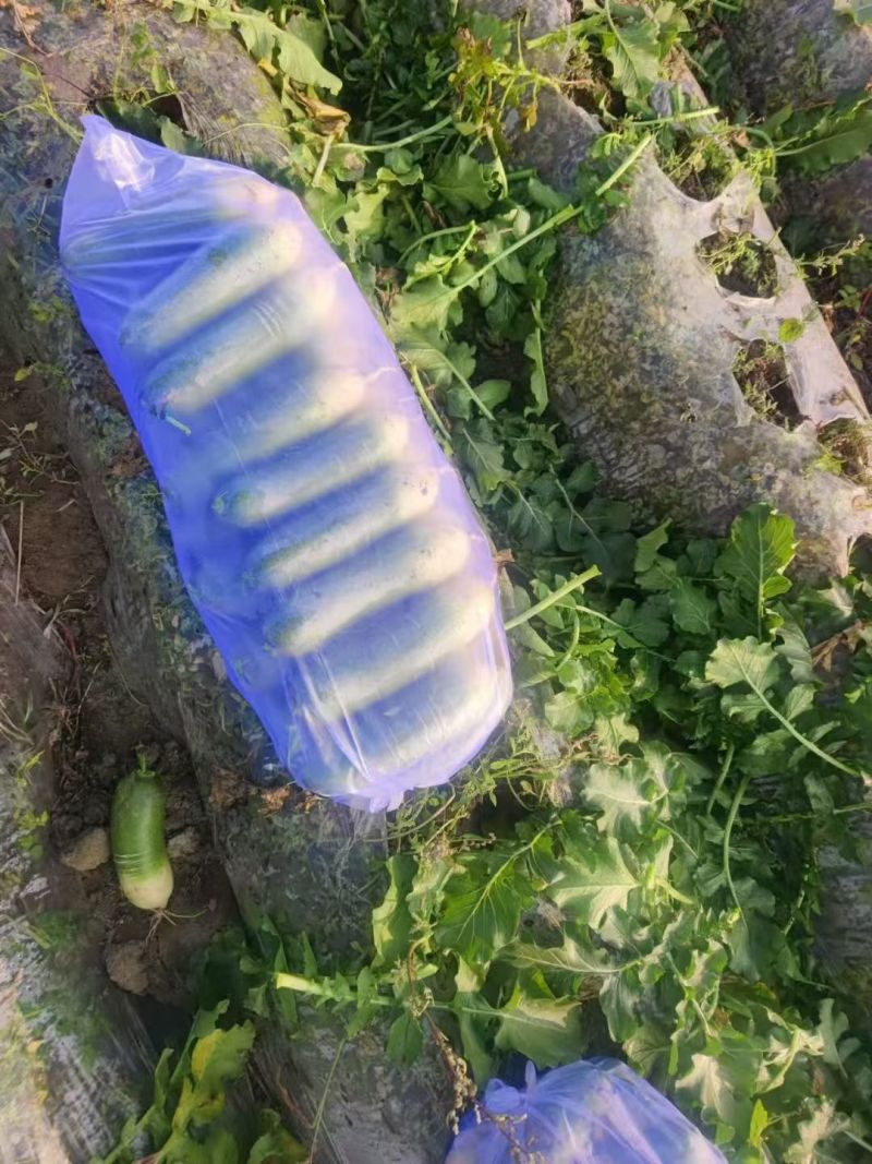 水果萝卜