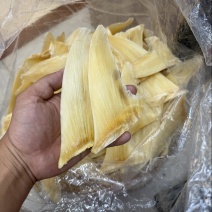 金勾翅青勾翅勿股勾翅五羊翅，茶勾翅，鱼翅