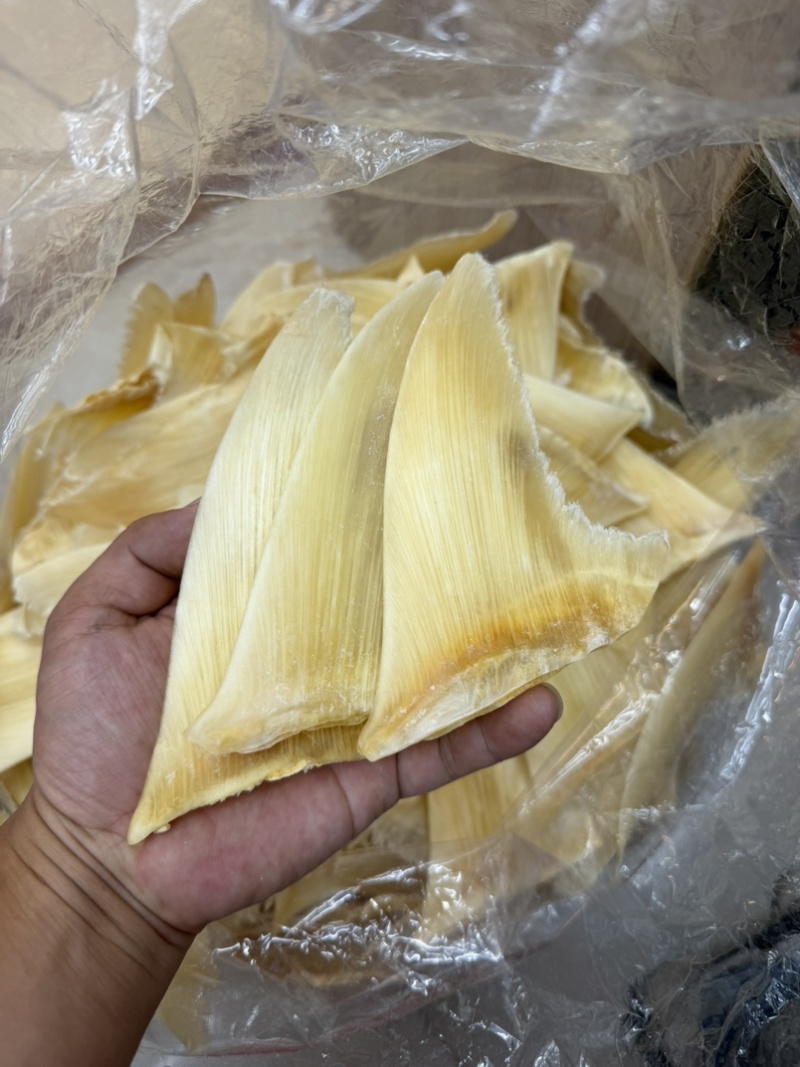 金勾翅青勾翅勿股勾翅五羊翅，茶勾翅，鱼翅