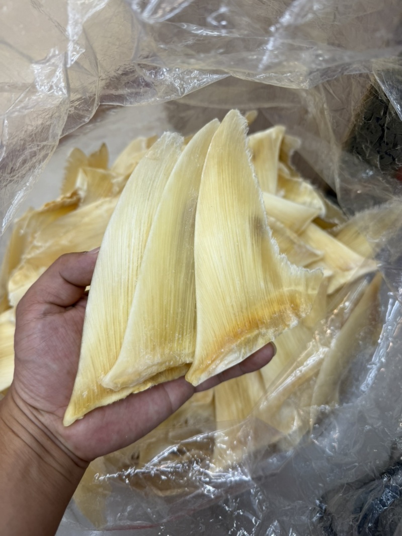金勾翅青勾翅勿股勾翅五羊翅，茶勾翅，鱼翅
