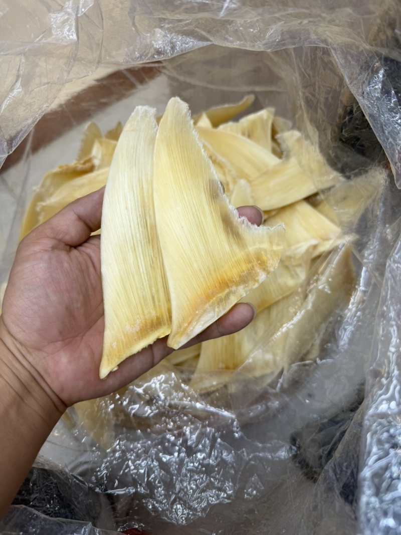 金勾翅青勾翅勿股勾翅五羊翅，茶勾翅，鱼翅