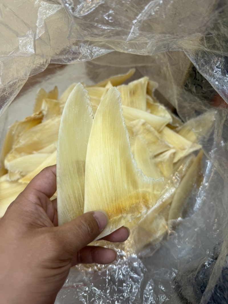 金勾翅青勾翅勿股勾翅五羊翅，茶勾翅，鱼翅