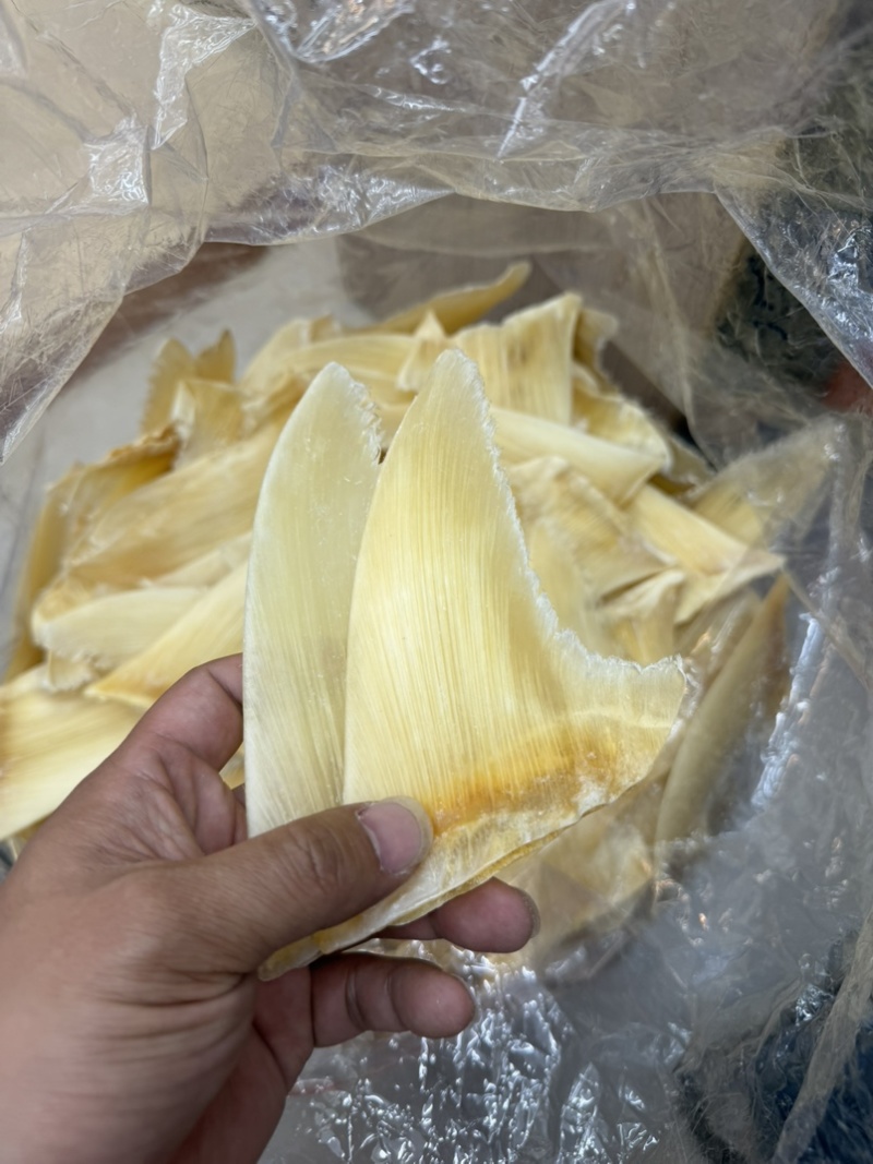 金勾翅青勾翅勿股勾翅五羊翅，茶勾翅，鱼翅