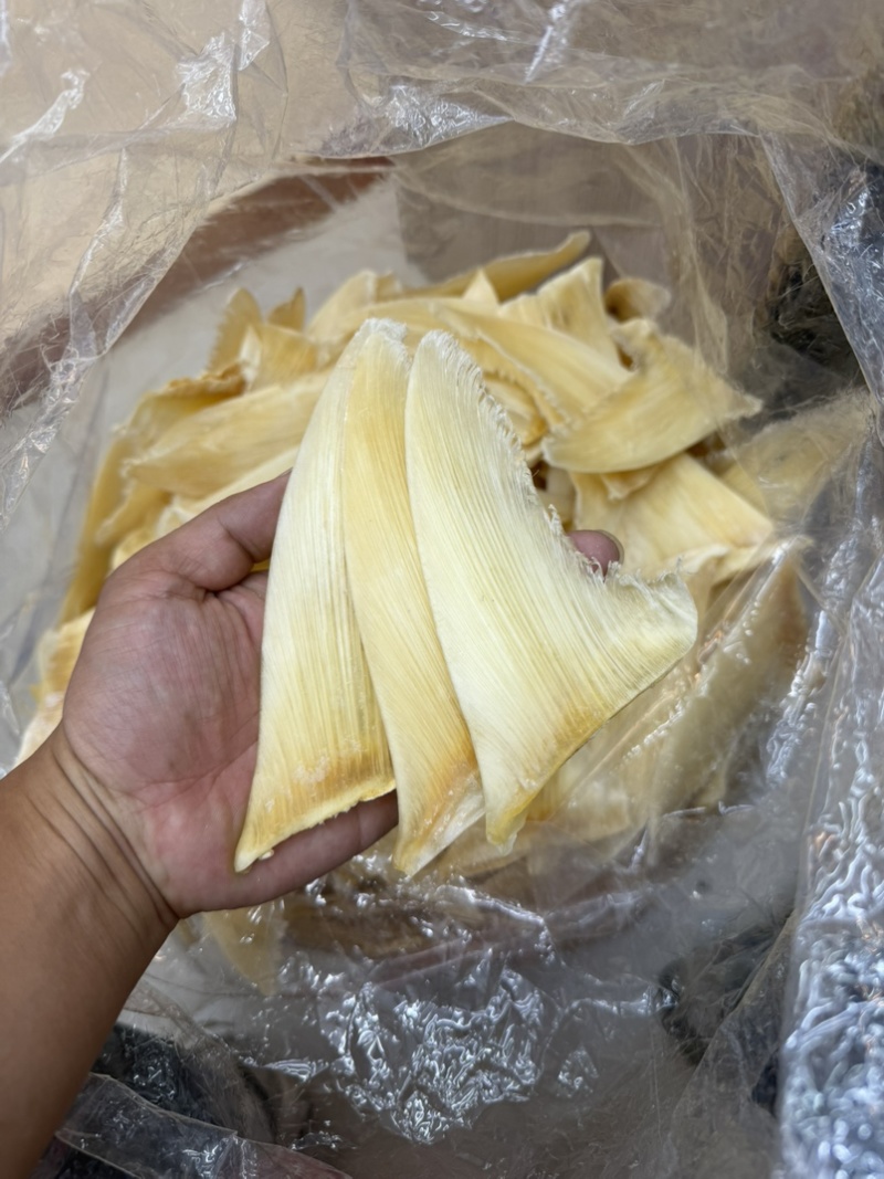 金勾翅青勾翅勿股勾翅五羊翅，茶勾翅，鱼翅