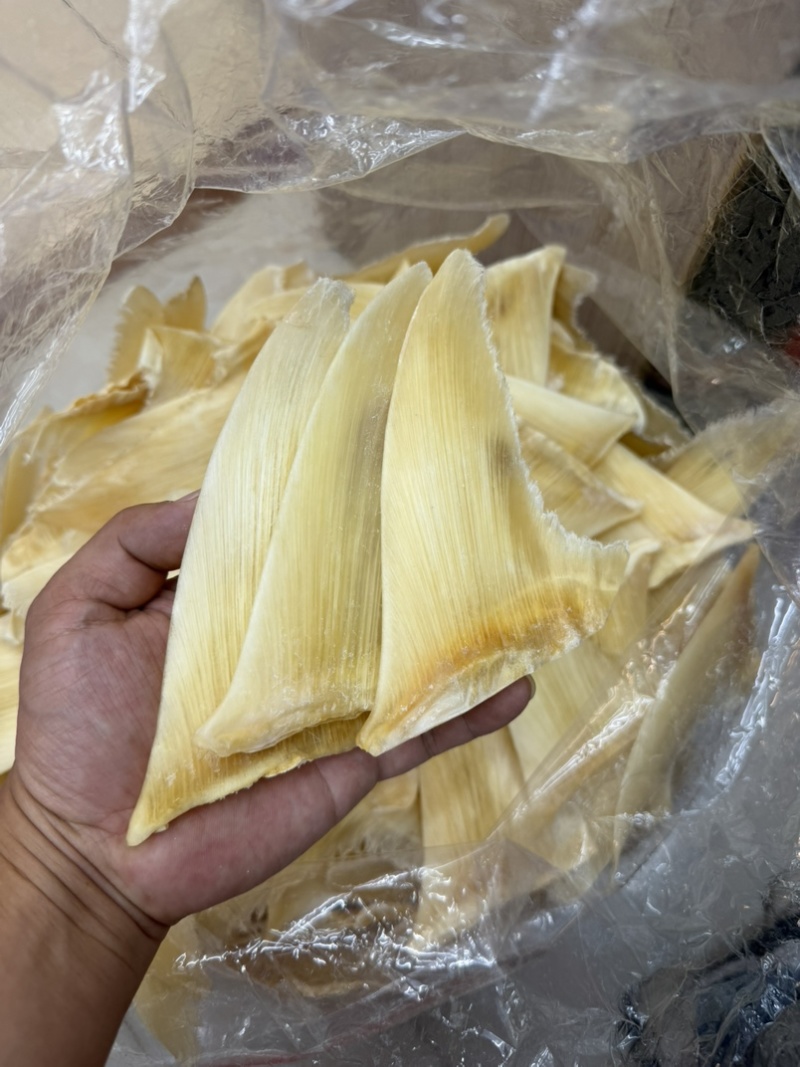 金勾翅青勾翅勿股勾翅五羊翅，茶勾翅，鱼翅