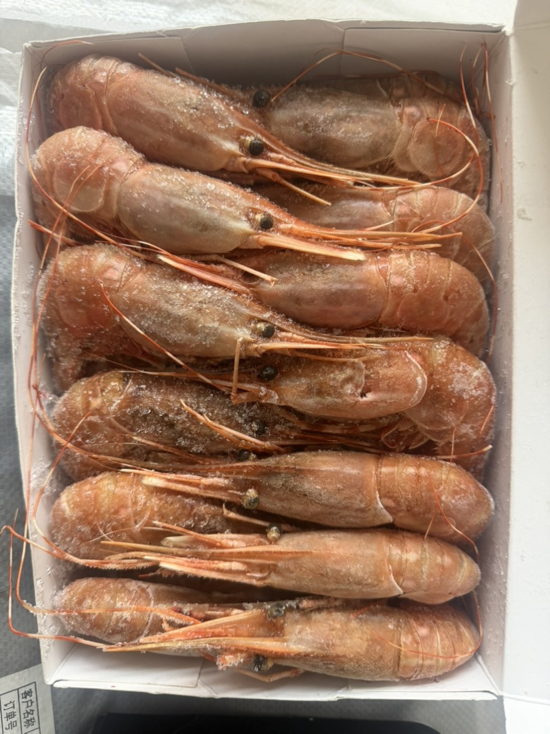 冷冻牡丹虾日料电商自助餐专用高端食材批发