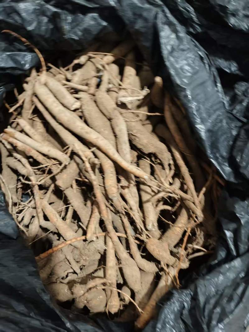 野豇豆根干货切片温州土人参产地直发质优价廉