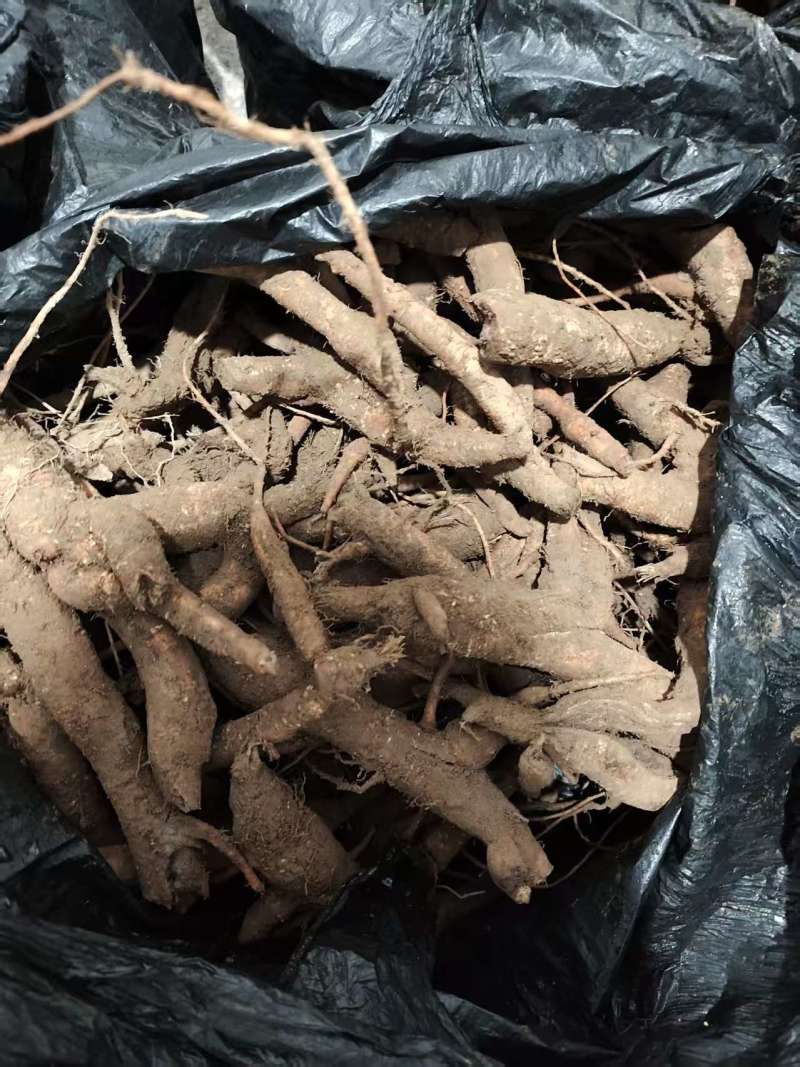 野豇豆根干货切片温州土人参产地直发质优价廉