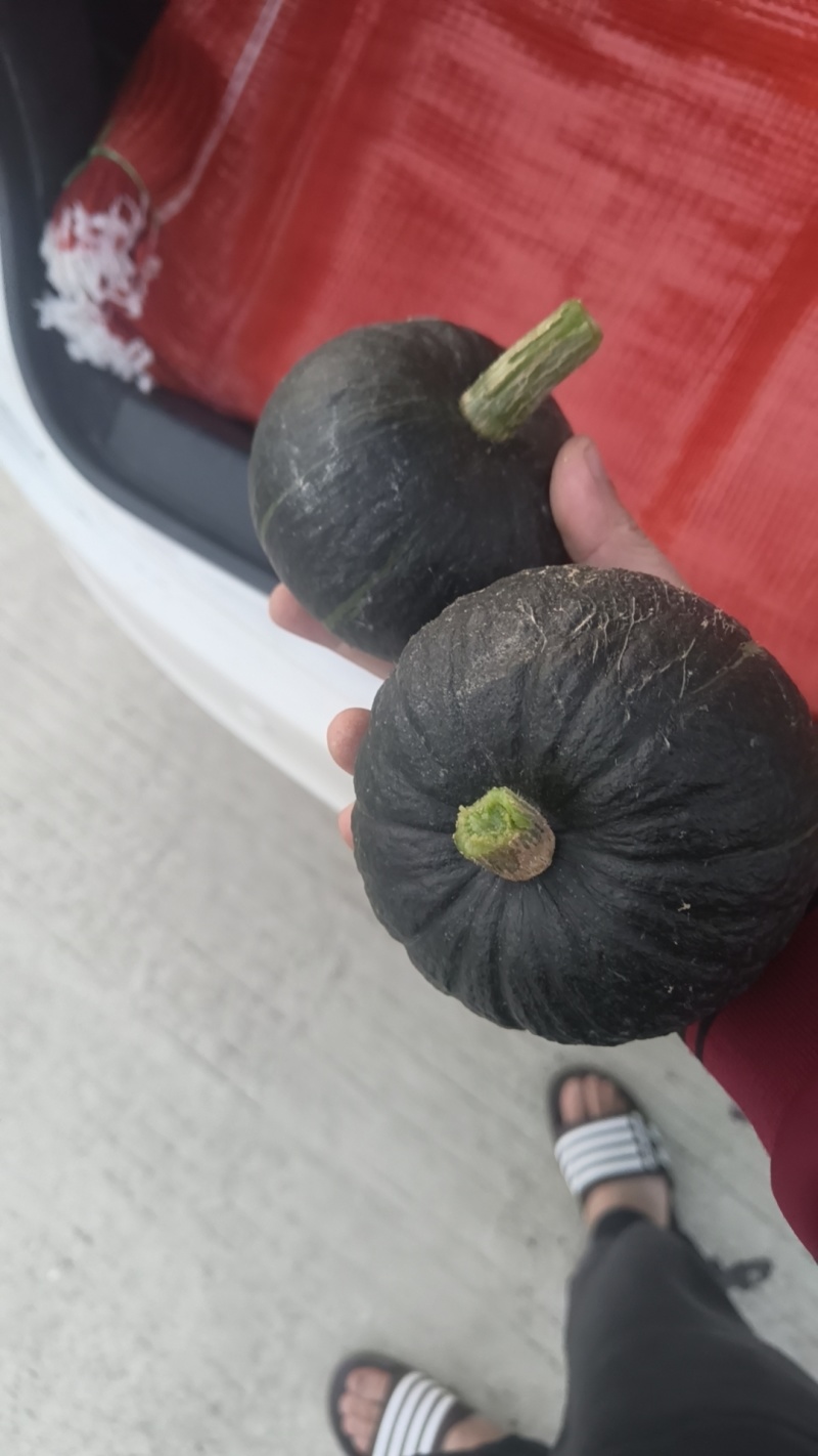 贝贝瓜