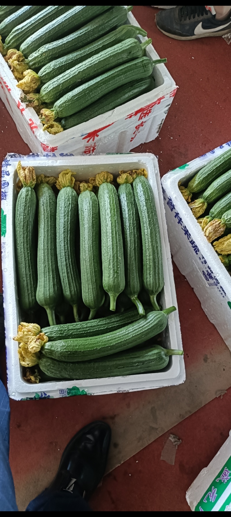 油皮丝瓜，肉丝瓜