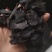 《肉苁蓉》精选肉苁蓉片硬大云干净无杂质实物拍摄