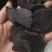 《肉苁蓉》精选肉苁蓉片硬大云干净无杂质实物拍摄