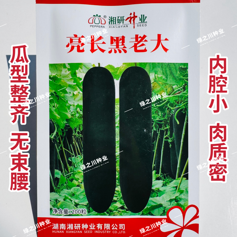 湘研亮长黑老大冬瓜种子特大冬瓜种子黑皮冬瓜种子无束腰