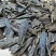 海南黑油格虫漏碎料