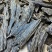 海南黑油格虫漏碎料